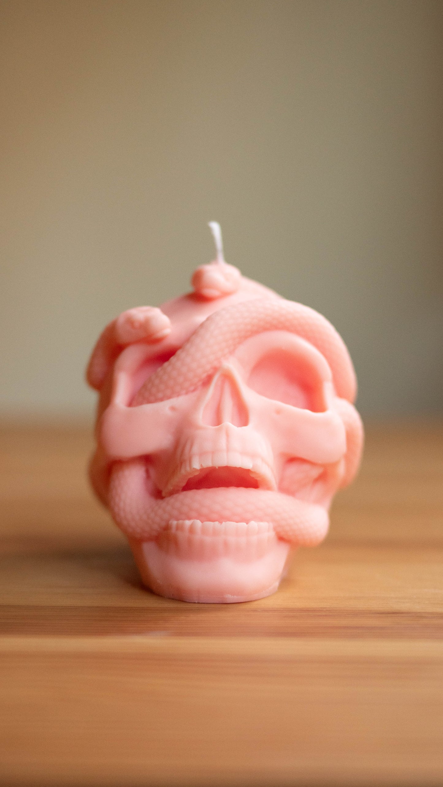 Skull Candle